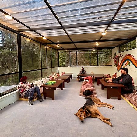 Eevolve Dharamkot - An Eco Hostel 맥그로드 간즈 외부 사진