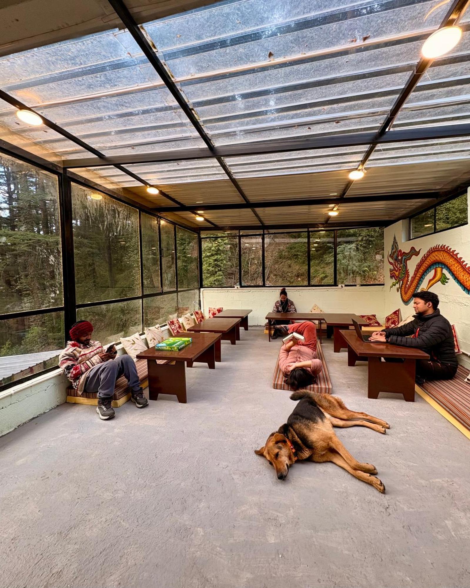 Eevolve Dharamkot - An Eco Hostel 맥그로드 간즈 외부 사진